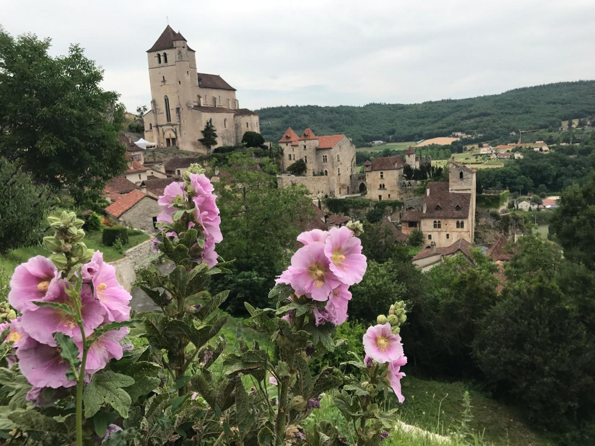 Manoir De Rieuzal Bed & Breakfast Loubressac ภายนอก รูปภาพ