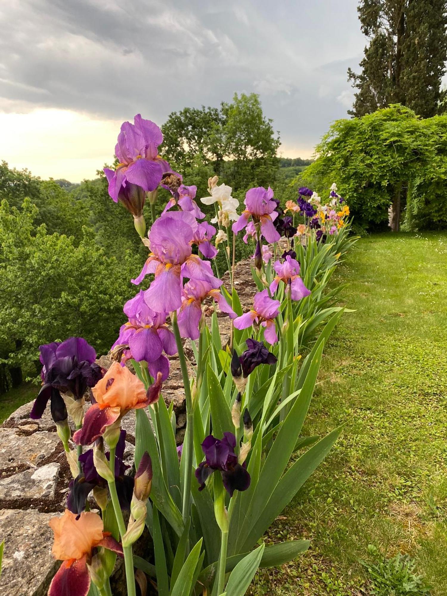 Manoir De Rieuzal Bed & Breakfast Loubressac ภายนอก รูปภาพ
