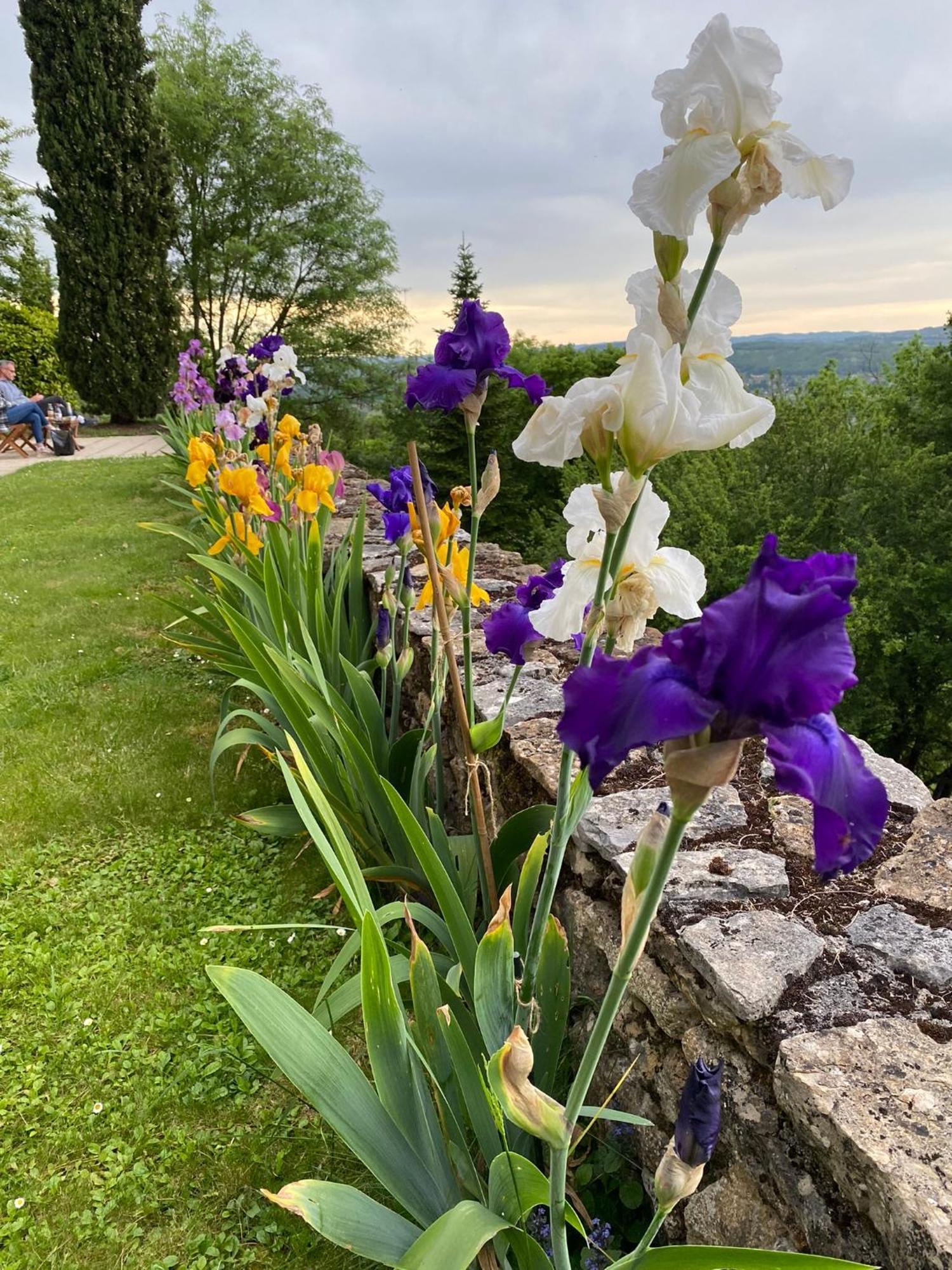 Manoir De Rieuzal Bed & Breakfast Loubressac ภายนอก รูปภาพ