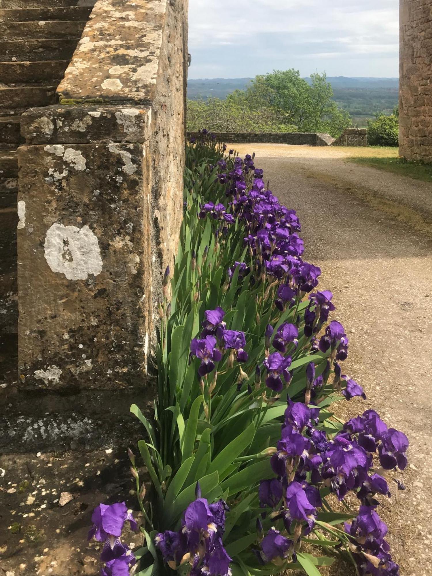 Manoir De Rieuzal Bed & Breakfast Loubressac ภายนอก รูปภาพ