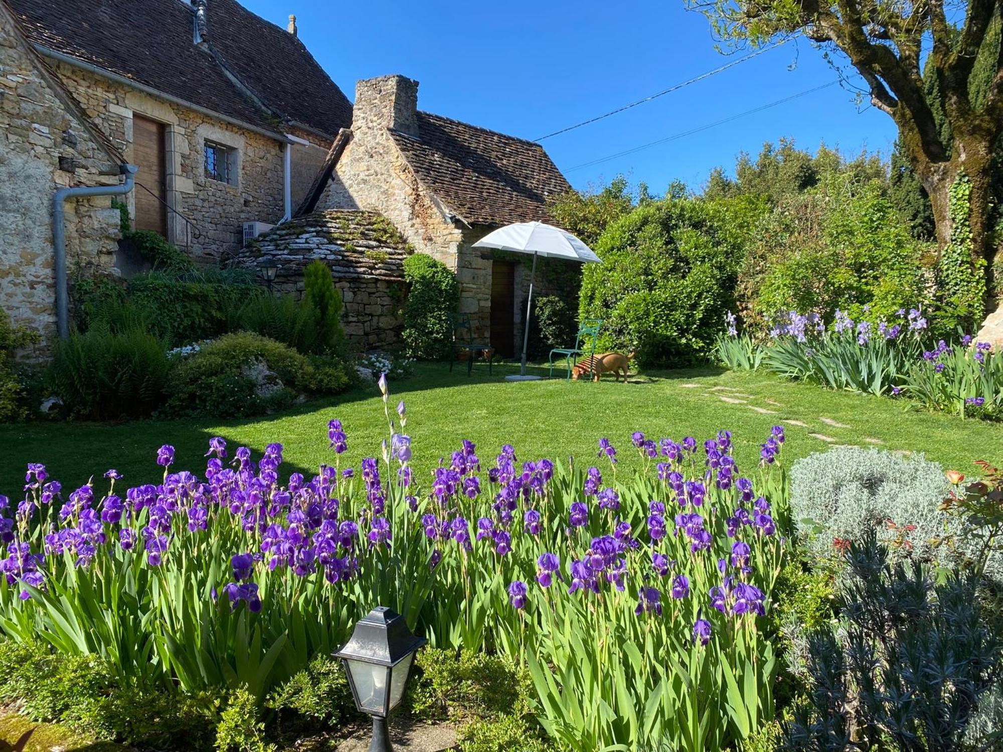 Manoir De Rieuzal Bed & Breakfast Loubressac ภายนอก รูปภาพ