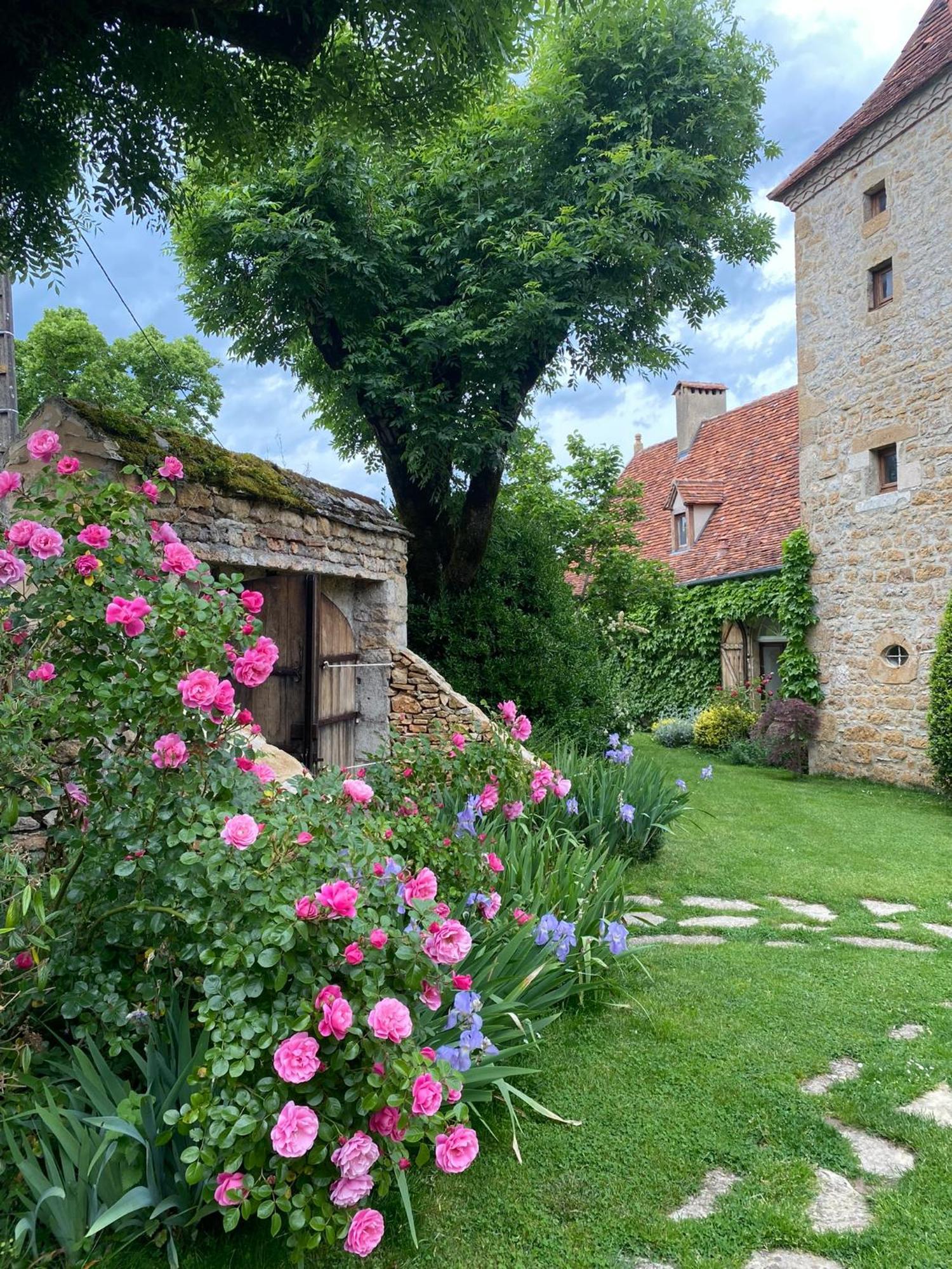 Manoir De Rieuzal Bed & Breakfast Loubressac ภายนอก รูปภาพ