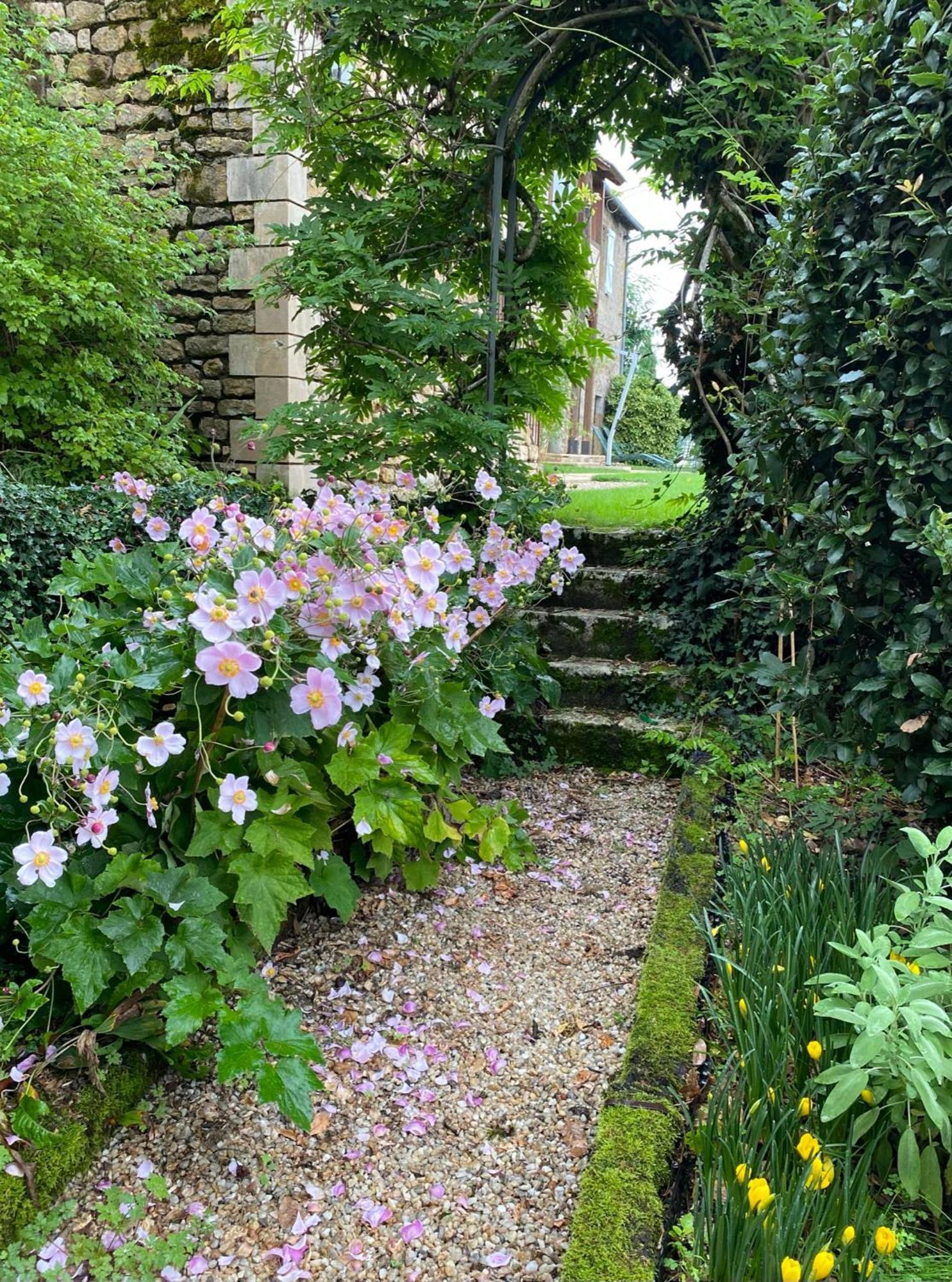 Manoir De Rieuzal Bed & Breakfast Loubressac ภายนอก รูปภาพ