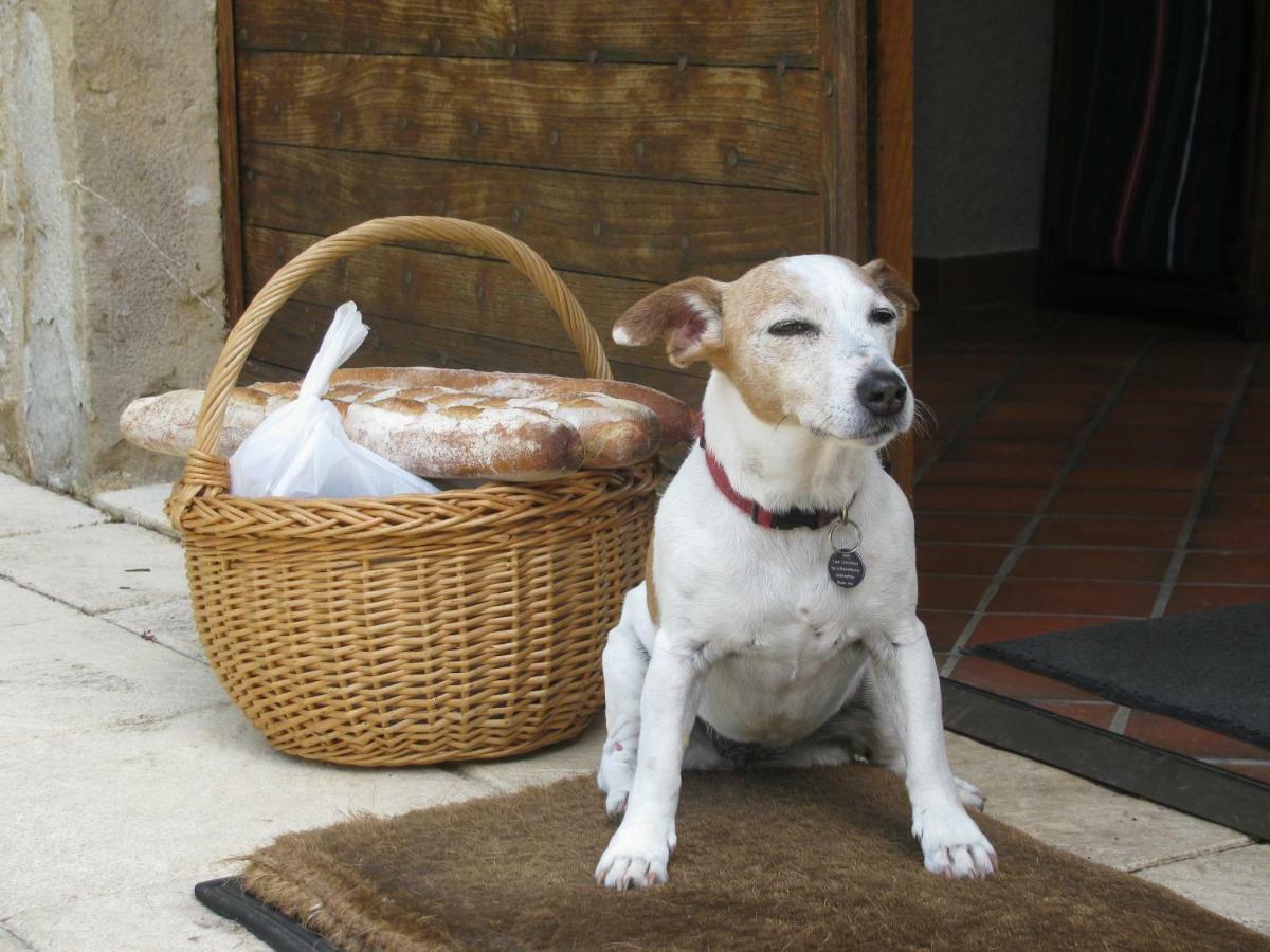 Manoir De Rieuzal Bed & Breakfast Loubressac ภายนอก รูปภาพ