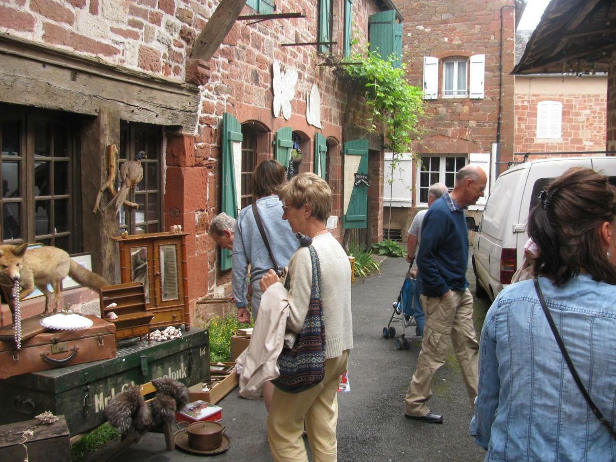 Manoir De Rieuzal Bed & Breakfast Loubressac ภายนอก รูปภาพ