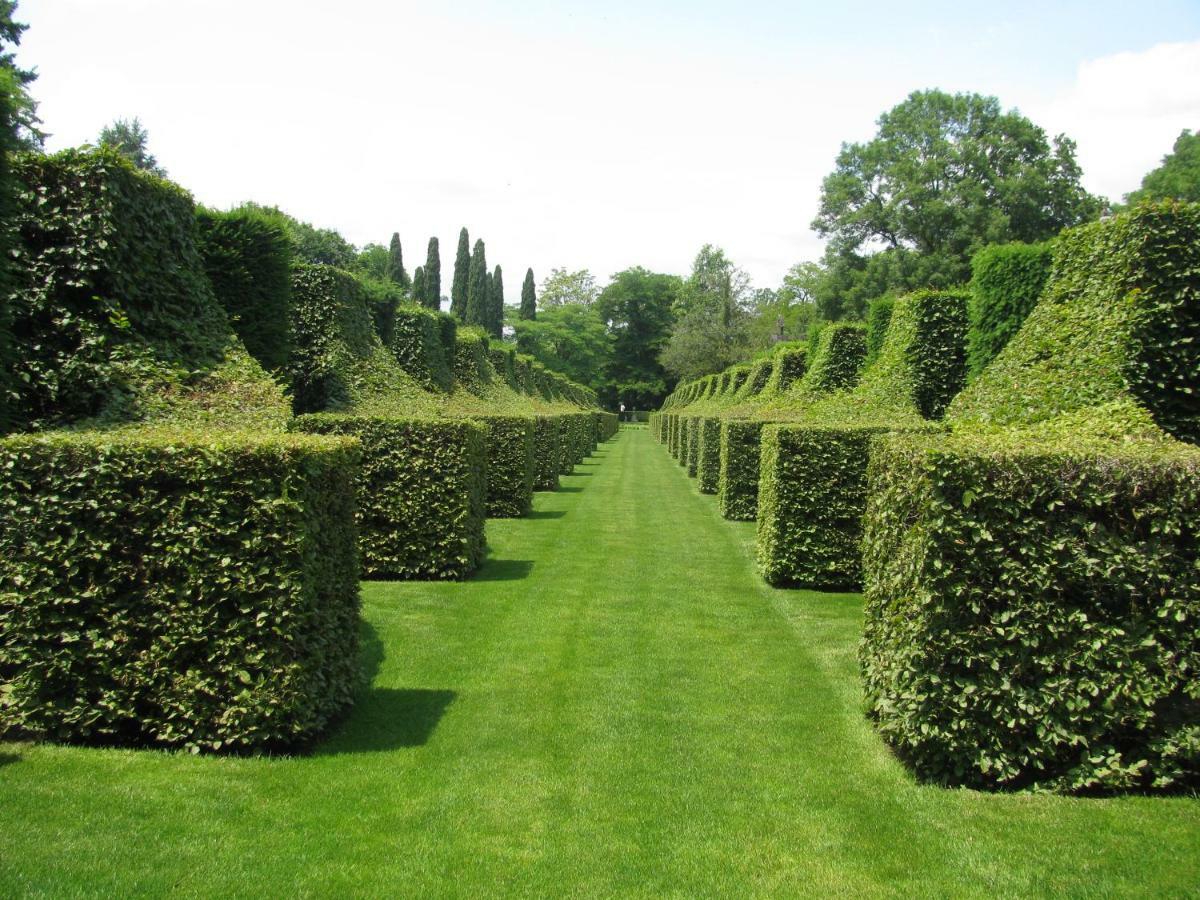 Manoir De Rieuzal Bed & Breakfast Loubressac ภายนอก รูปภาพ